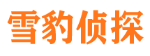 赫山市婚外情调查